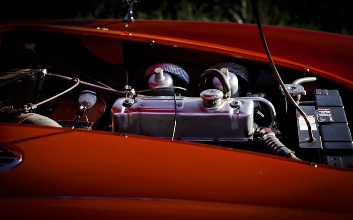 Austin-Healey-3000-john-classic-restauration-voiture-ancienne-collection